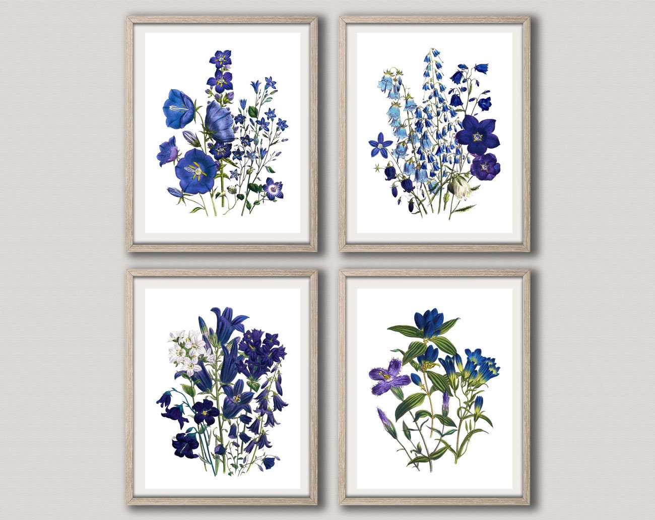 Blue Flower Botanical Drawings Botanical Illustration Set of 4