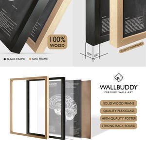 May include: A Wallbuddy premium wall art set featuring a brain anatomy poster with a solid wood frame, plexiglass, and backboard. The frame is available in black or oak, with a 2.3 cm by 1.5 cm profile. The poster displays detailed anatomical text.