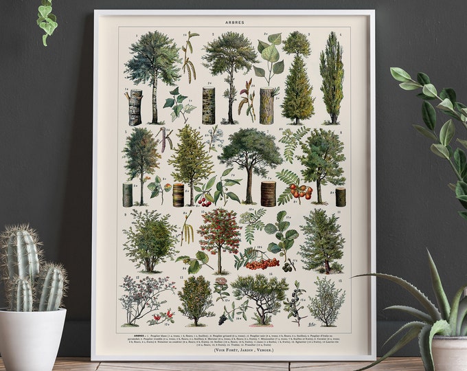 Woodland Wall Art Print Botanical Forest Prints Outdoor Decor