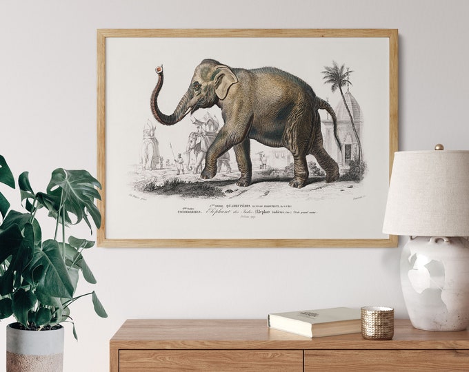 Elephant Print Vintage Elephant Poster Elephant Decor Elephant Wall Art Elephant Art Print Elephant 19th Century Illustration WBA