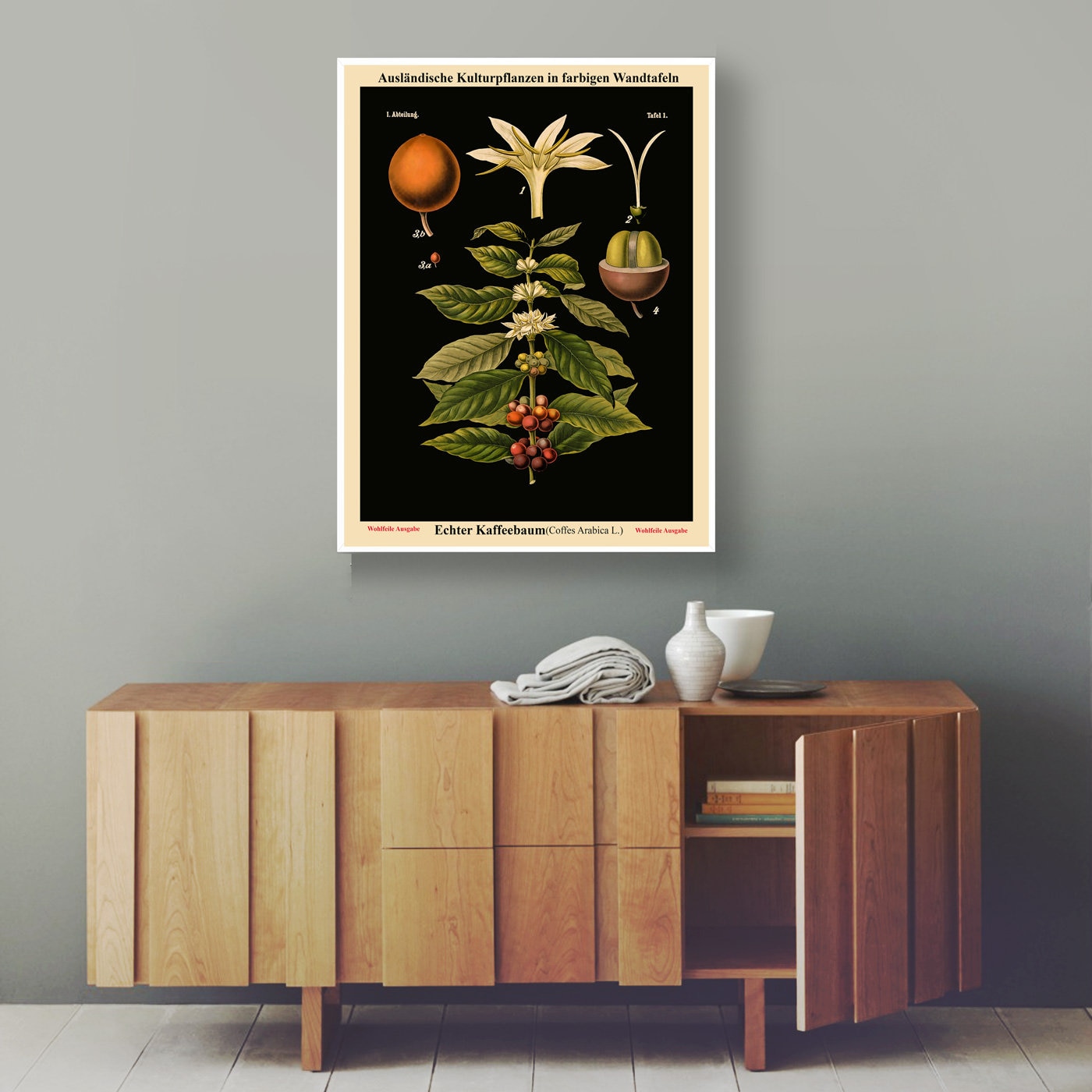 Rare Botanical Posters Set of 3 Black Botanical Prints Botanical