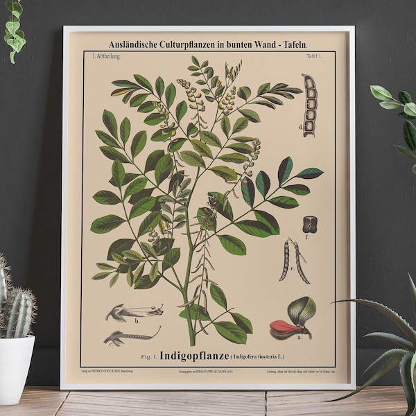 True Indigo Poster Indigo Botanical Art Indigo Decor Indigo Art