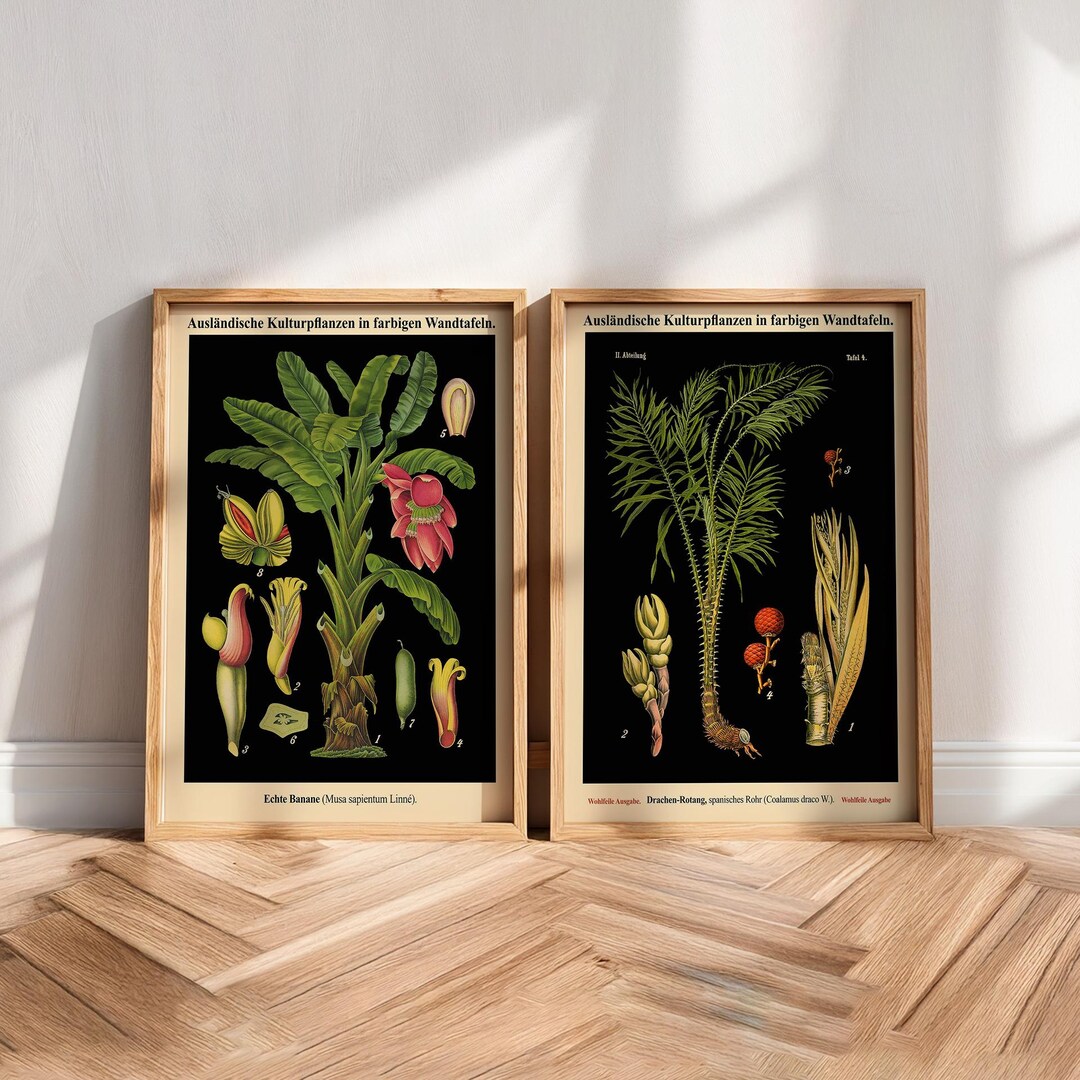 German Botanical Print Set: Vintage Plant Wall Art - Etsy