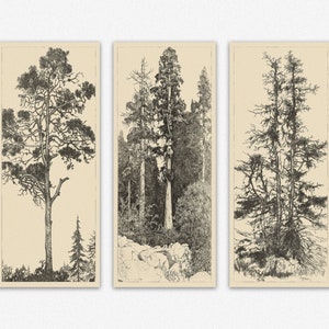 minimalistas photos printing pine tree unframed kitchen prints pictures linear paintings decorations
