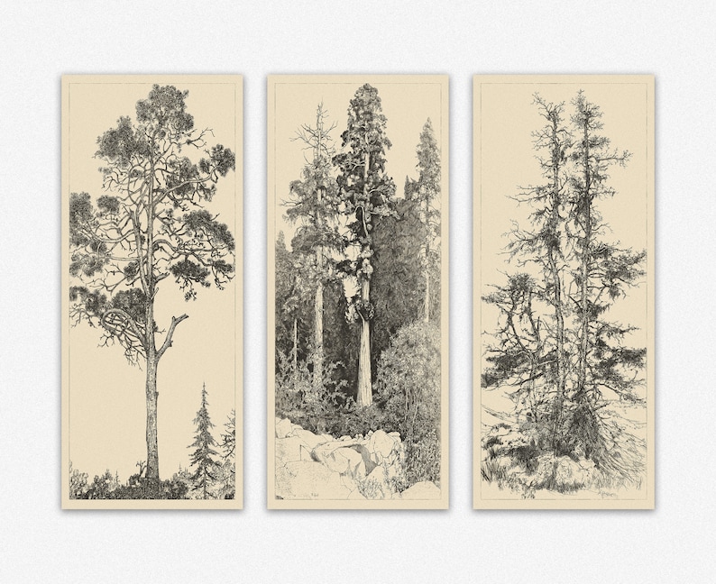 minimalistas photos printing pine tree unframed kitchen prints pictures linear paintings decorations