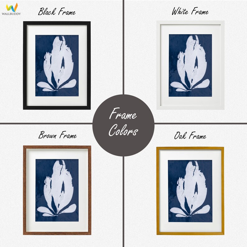 Cyanotype Print Blue and White Art by Anna Atkins Iridaea Etsy