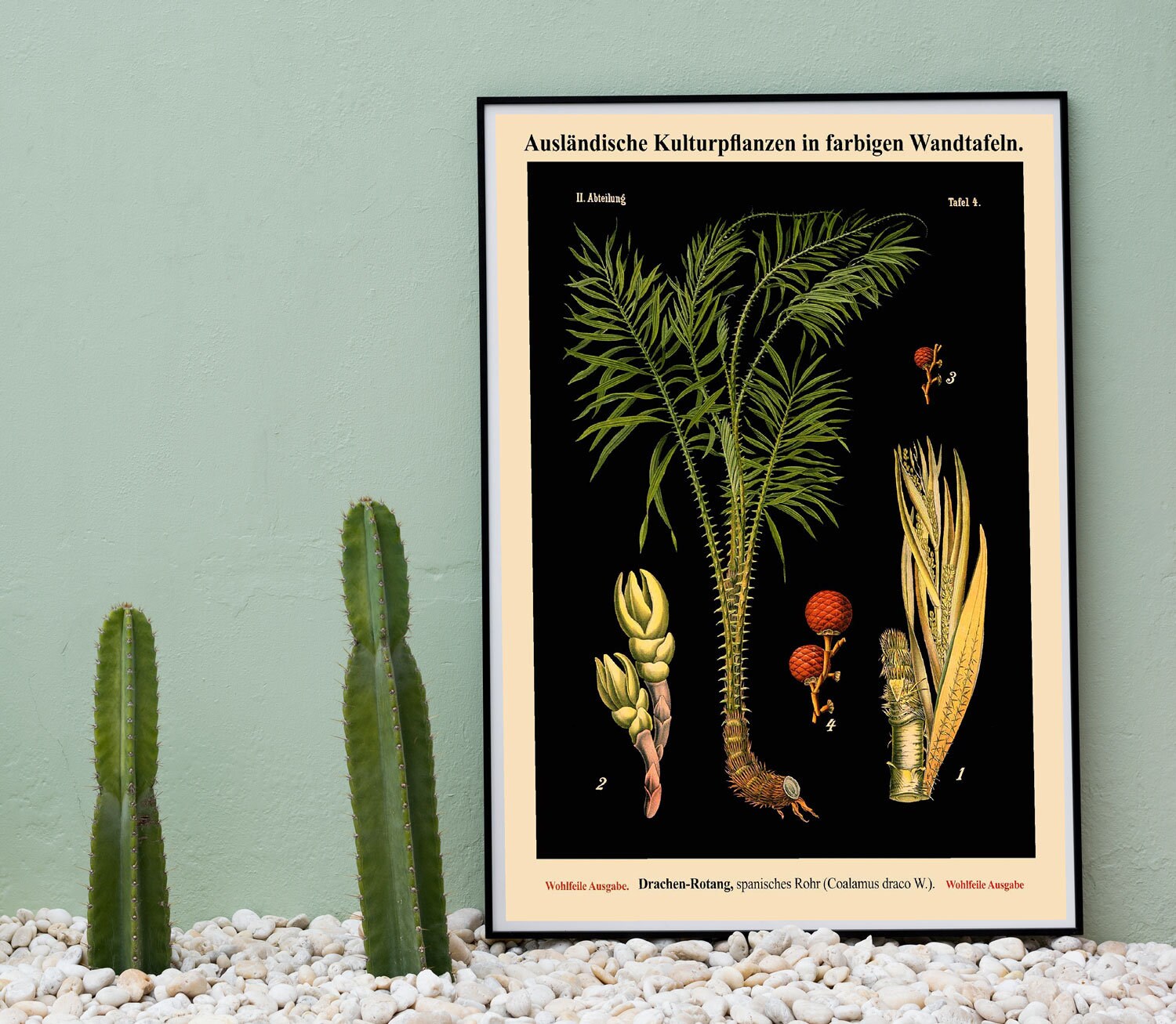 Botanical Prints Set of 3 Vintage German Botanical Posters