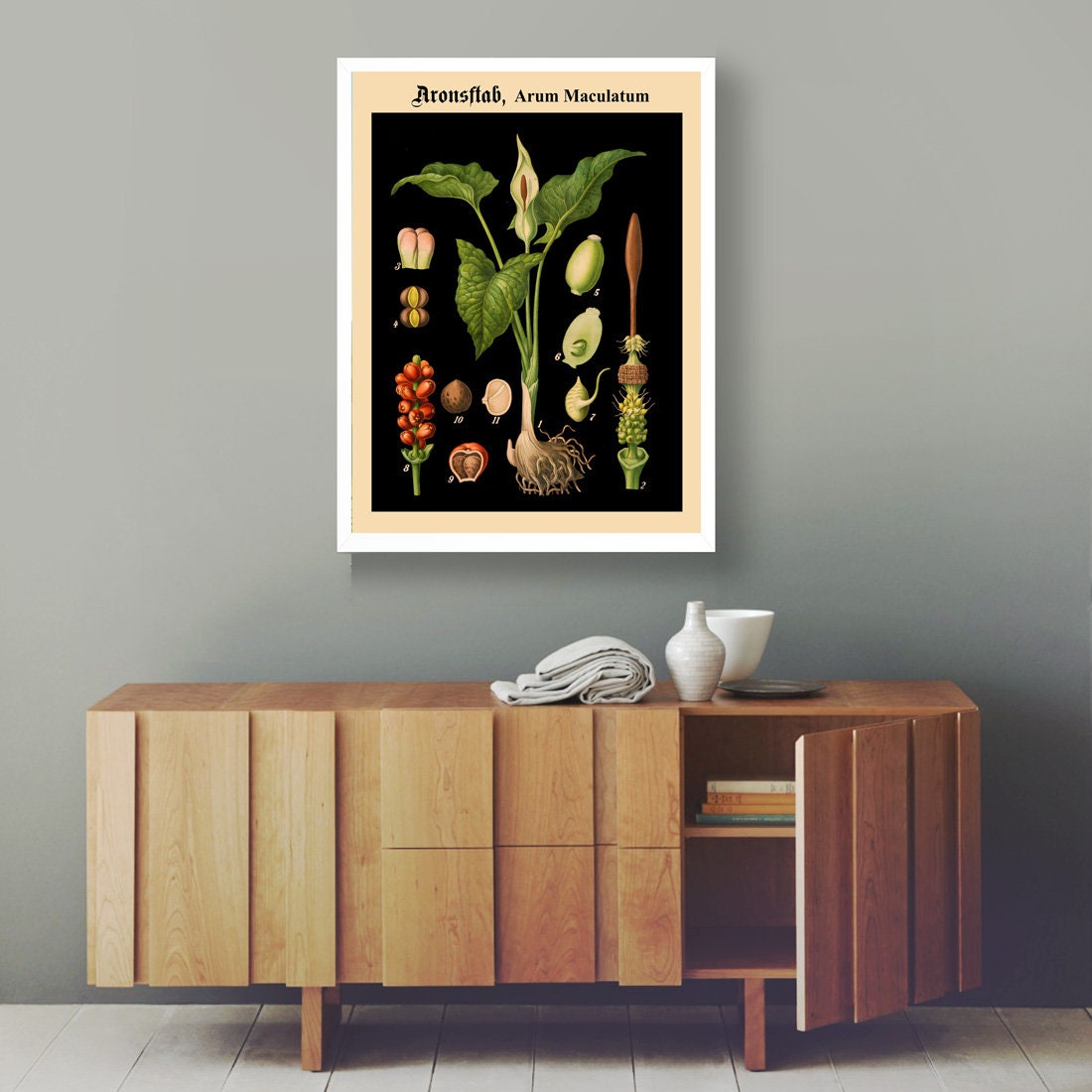 Rare Botanical Posters Set of 3 Black Botanical Prints Botanical