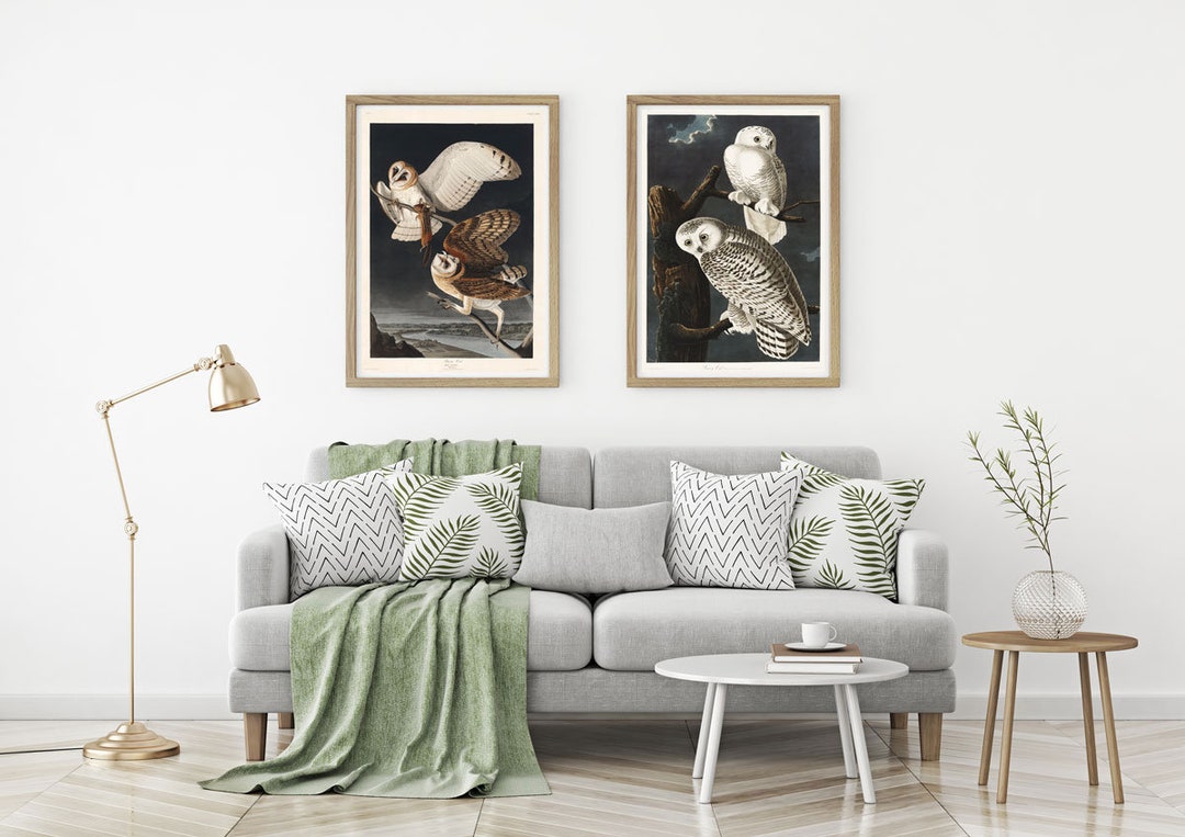 Audubon Prints Set of 2 Audubon Posters Audubon Wall Art Etsy
