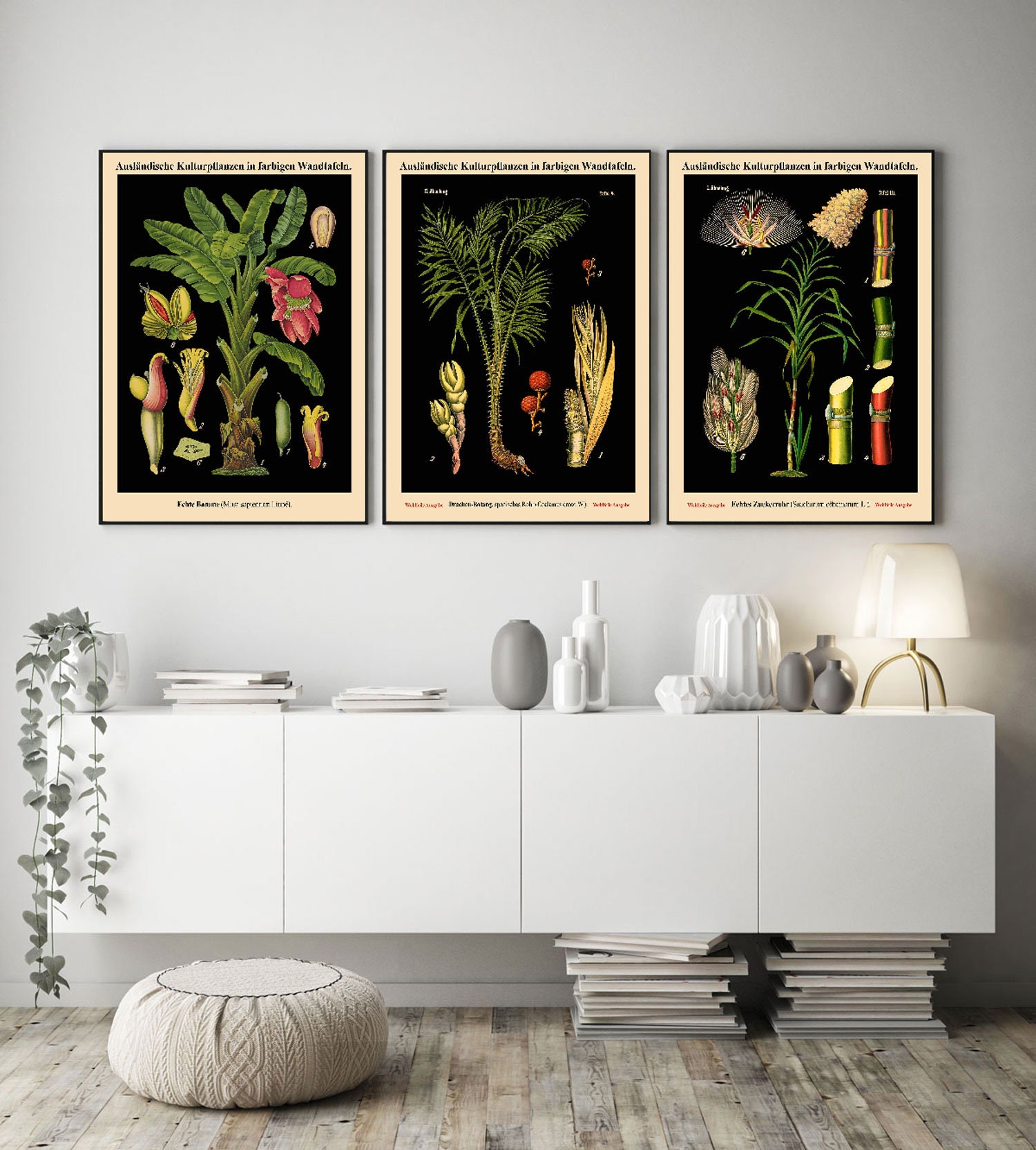 Botanical Prints Set of 3 Vintage German Botanical - Etsy