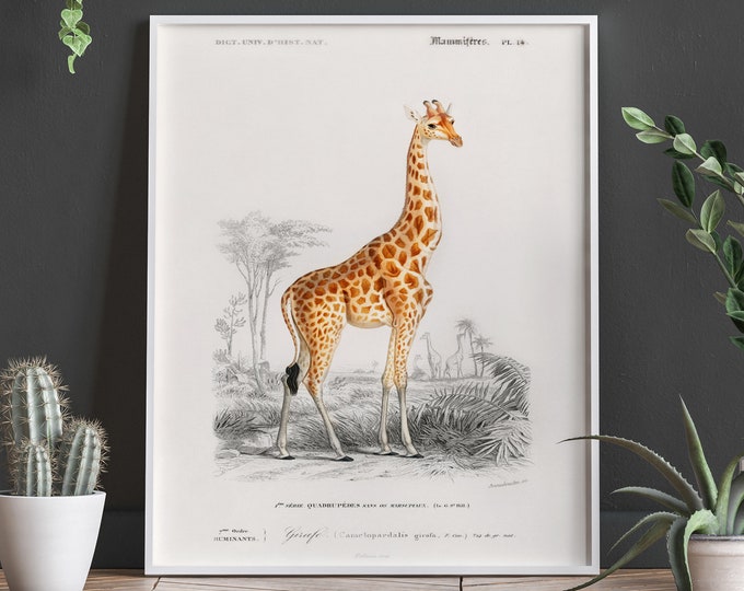 Giraffe Illustration Giraffe Decor Giraffe Print 1846