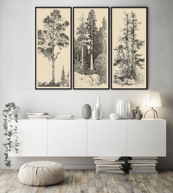 Vintage Tree Etchings: Neutral Forest Wall Art, Set of 3