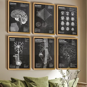Op de afbeelding: Een set van zes ingelijste wandposters met wetenschappelijke diagrammen op een zwarte achtergrond met witte lijnen en tekst. De prints tonen de hersenschors, neuraal netwerk, MRI-hersenscan, zenuwcel, hersen- en immuunsysteem, en de serotonine- en dopaminebaan.