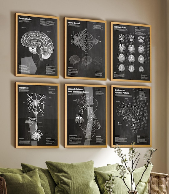 Human Brain Neural Tech Patent Art Prints: Scientific Blueprint Set of 6
