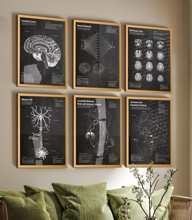 May include: A set of six framed wall art prints featuring scientific diagrams on a black background with white lines and text. The prints depict the Cerebral Cortex, Neural Network, MRI Brain Scan, Neuron Cell, Brain and Immune System, and Serotonin and Dopamine Pathway.