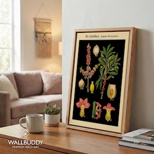 German Botanical Chart Black Henbane Print - Vintage Plant Illustration Educational Science Wall Art Poster Oak Framed Canvas