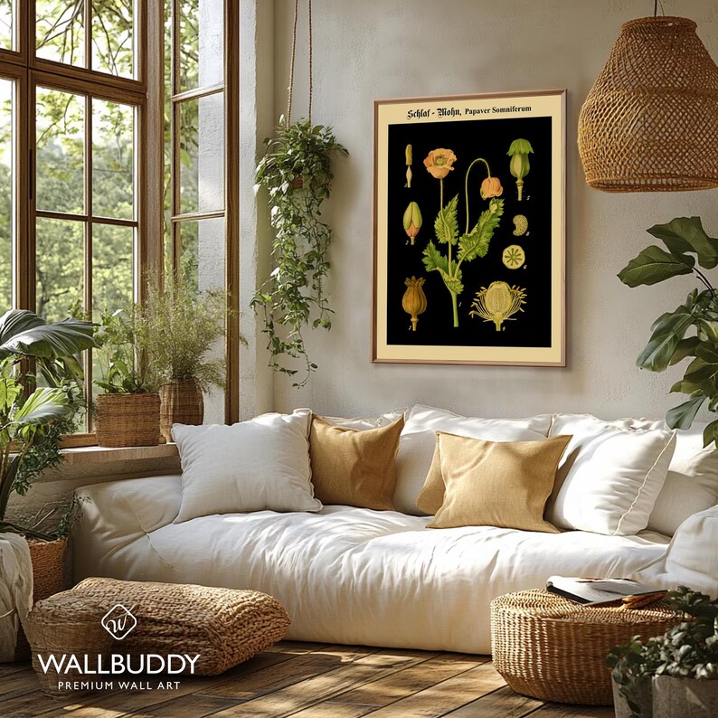 May include: A framed botanical wall art print featuring a black background with detailed illustrations of the Papaver somniferum plant, including orange flowers, green leaves, and seed pods, with the text Schlaf-Mohn, Papaver Somniferum.