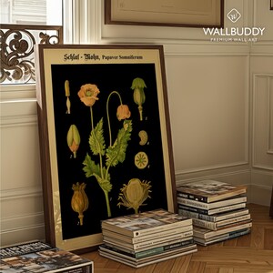 May include: A framed botanical print featuring the text Schlaf-Mohn, Papaver Somniferum. The artwork displays a detailed illustration of a poppy plant with yellow-orange flowers, green leaves, and various seed pods against a solid black background.