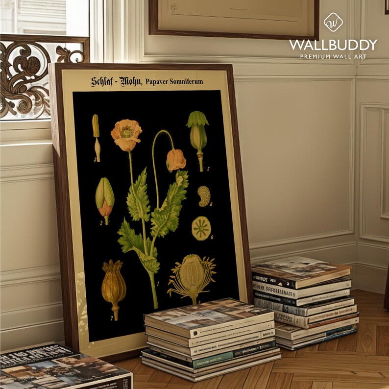 May include: A framed botanical print featuring the text Schlaf-Mohn, Papaver Somniferum. The artwork displays a detailed illustration of a poppy plant with yellow-orange flowers, green leaves, and various seed pods against a solid black background.