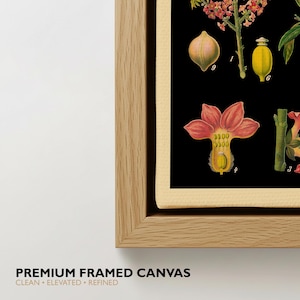 May include: A framed canvas print featuring a botanical illustration on a black background. The artwork displays various plant parts, including flowers and seed pods, labeled with small numbers. The canvas is set in a light-toned wooden frame.
