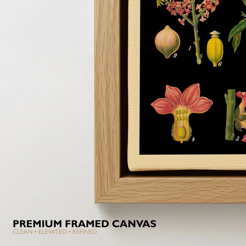 May include: A framed canvas print featuring a botanical illustration on a black background. The artwork displays various plant parts, including flowers and seed pods, labeled with small numbers. The canvas is set in a light-toned wooden frame.