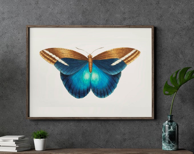 Great Occidental Butterfly Wall Art Butterfly Decor Butterfly Print Butterfly Poster Butterfly Watercolor Art Print - WBBUT-Blue