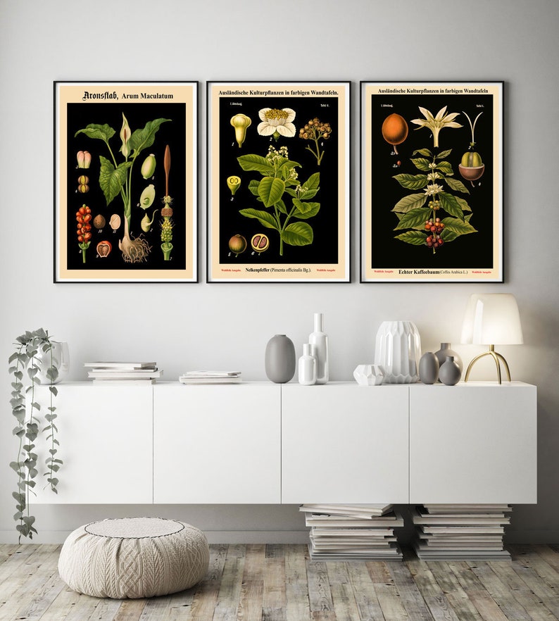 Rare Botanical Posters Set of 3 Black Botanical Prints Etsy