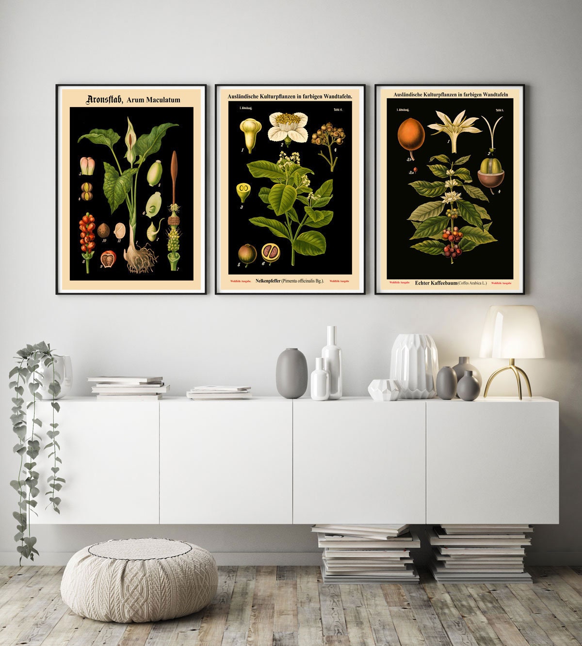Rare Botanical Posters Set of 3 Black Botanical Prints Botanical