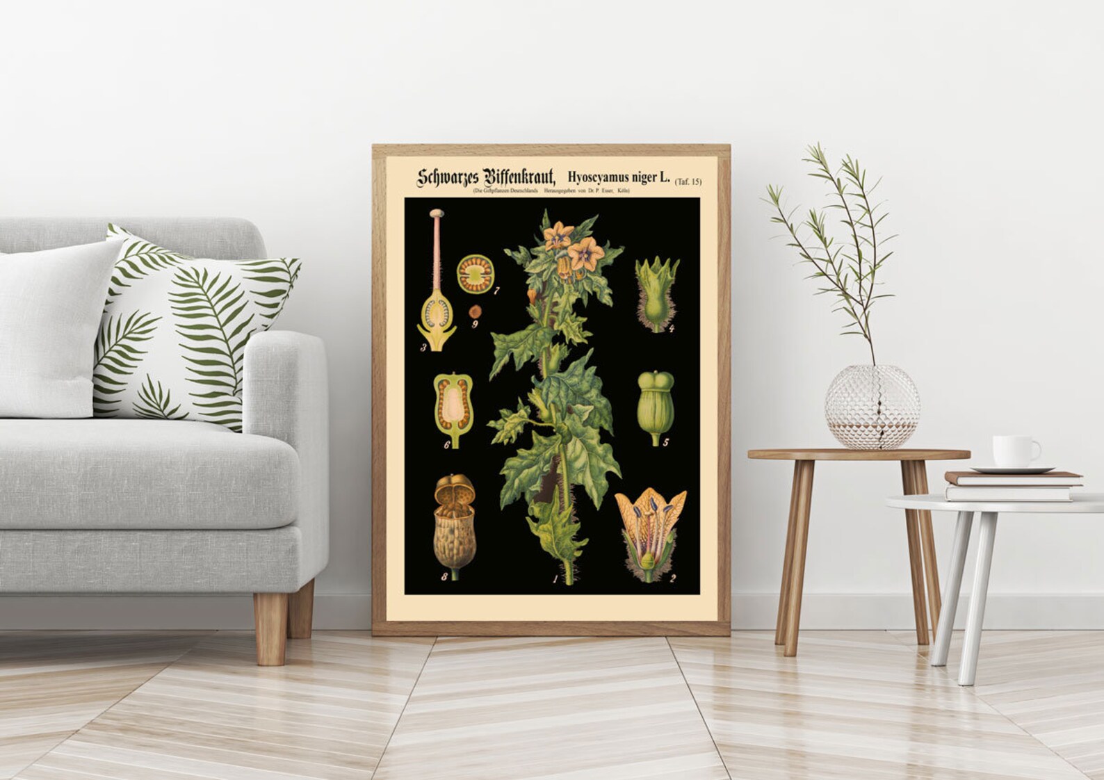 Botanische Poster Set Of 4 – 11x14 Zoll, Leinwanddruck Ungerahmt, Salbei Grün, Boho Deko Für Wand, Schlafzimmer, Wohnzimmer