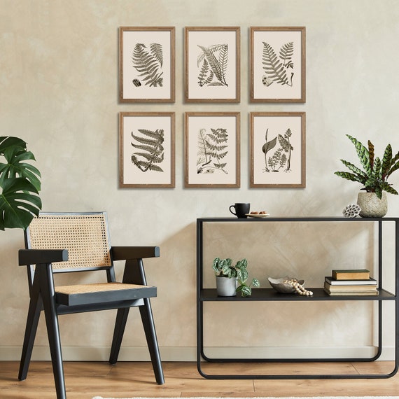 Set 6 Stampe Botaniche Da Parete - Stile Bohémien E Rustico, 20x25cm, Per Camera E Soggiorno - Foto 10
