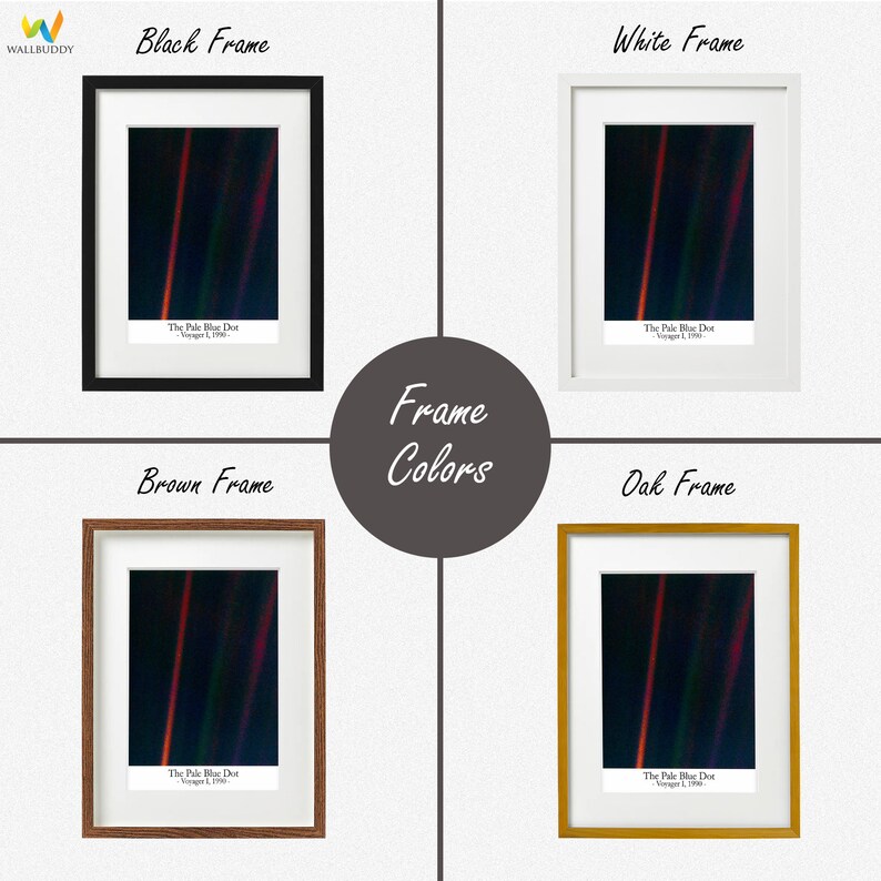 The Pale Blue Dot Poster Pale Blue Dot Print Astronomy Poster Etsy