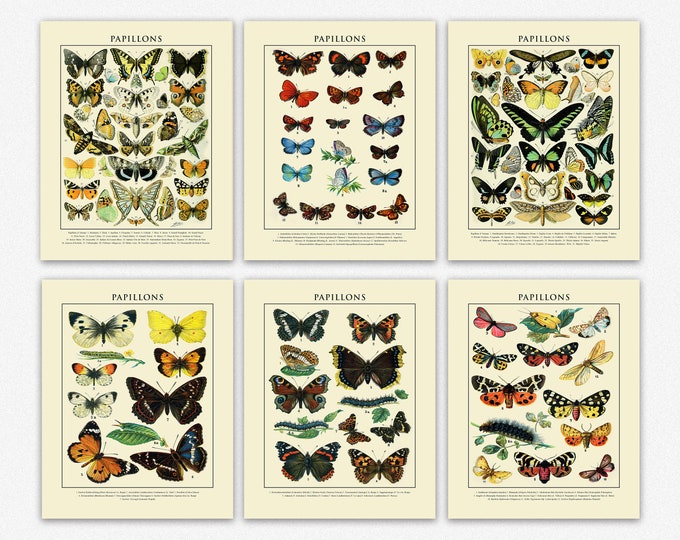 Antique Butterfly Prints Set of 6 for Vintage Home Decor Papillons Posters Vintage Butterfly Wall Art Botanical Nature Art