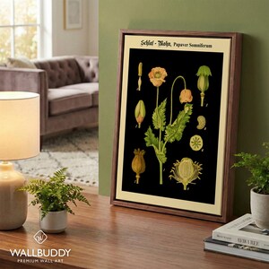 Antique Opium Poppy Botanical Wall Art – Papaver Somniferum Vintage Flower on Black Poster Print Walnut Framed Canvas