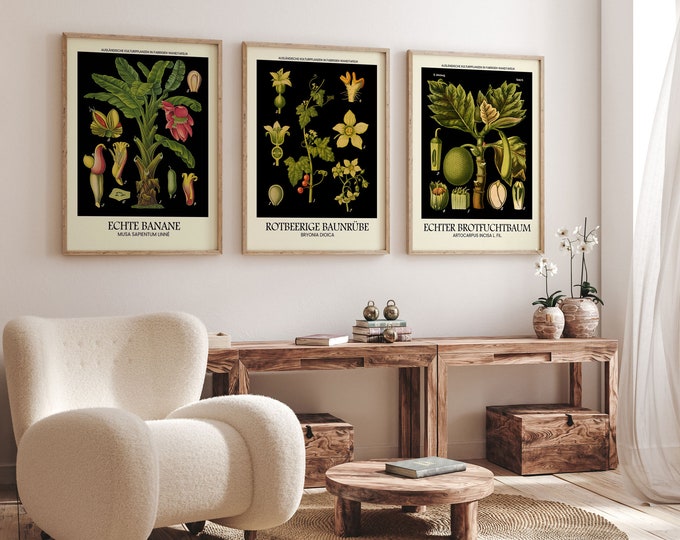 Botanical Prints Set of 3 Wildflower Posters Leaf Wall Art Floral Prints Ready to Frame Gallery Poster Set