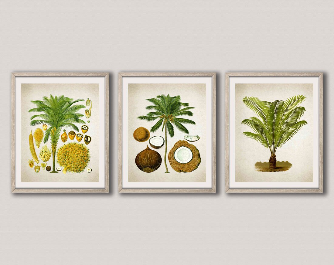 Tropical Wall Art Botanical Print Palm Tree Prints Set Of 3 Tropical Wall Art Botanical Print Palm Tree Prints Set Of 3 Posters Decor Kitchen Wbot23 Wbot25