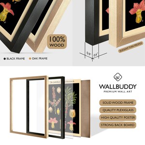 May include: A Wallbuddy premium wall art set featuring a botanical poster with a black background, available in a black or oak solid wood frame. The frame has a 0.9 inch depth and 0.6 inch width, including plexiglass and a strong back board.