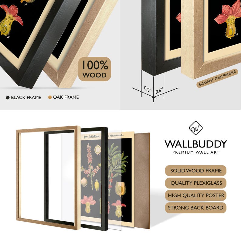 May include: A Wallbuddy premium wall art set featuring a botanical poster with a black background, available in a black or oak solid wood frame. The frame has a 0.9 inch depth and 0.6 inch width, including plexiglass and a strong back board.