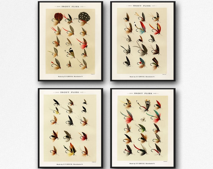 Trout Fishing Flies Set of 4 Fishing Prints Fishing Decor