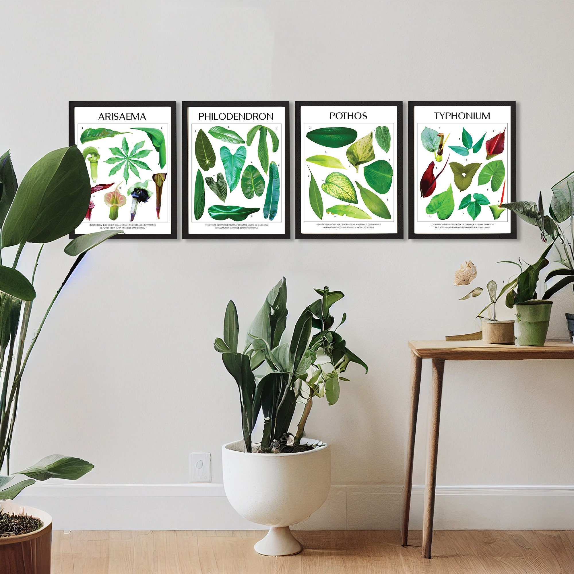 Arte botánico para decorar tu hogar – Guía De Manualidades