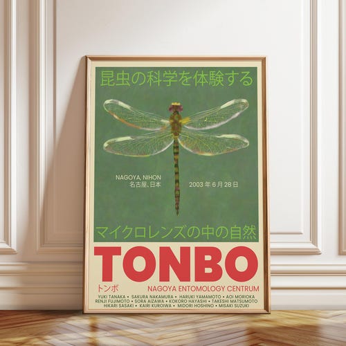 Dragonfly Delight – Tonbo 2003 Nagoya Exhibition Poster | Japanese
