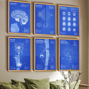 May include: A set of six framed wall art prints featuring white scientific diagrams on a blue grid background. The prints display the Cerebral Cortex, Neural Network, MRI Brain Scan, Neuron Cell, Crosstalk Between Brain and Immune System, and Serotonin and Dopamine Pathway with detailed labels and technical text.