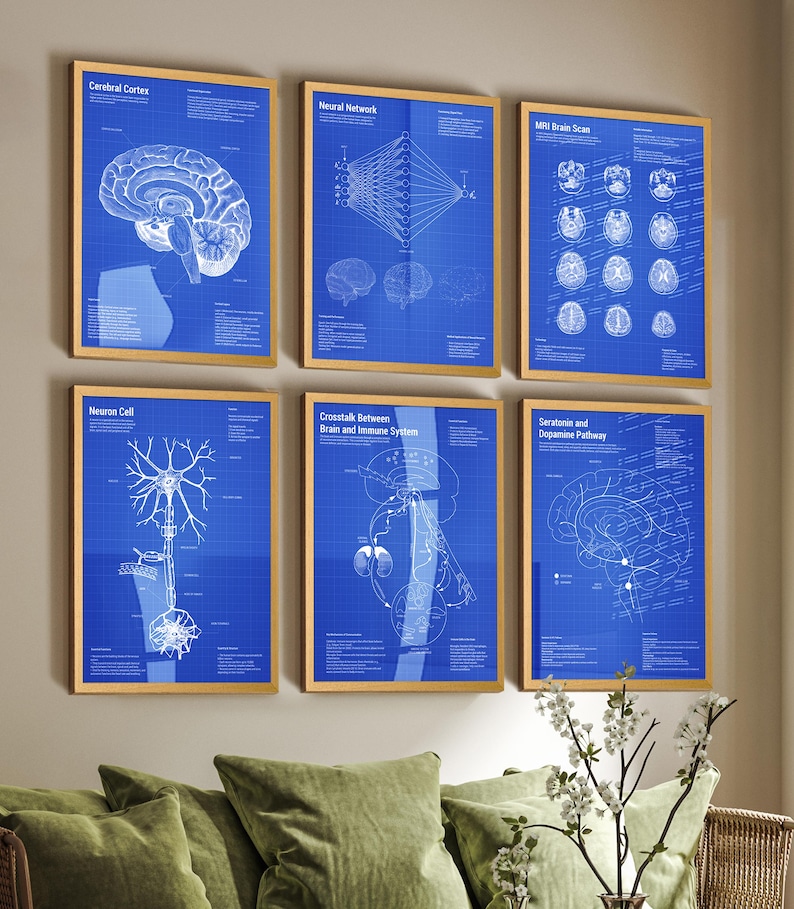 May include: A set of six framed wall art prints featuring white scientific diagrams on a blue grid background. The prints display the Cerebral Cortex, Neural Network, MRI Brain Scan, Neuron Cell, Crosstalk Between Brain and Immune System, and Serotonin and Dopamine Pathway with detailed labels and technical text.