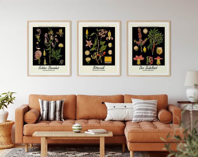 Modern Black Botanical Wall Art Poster - Botanical Illustration Wall Art Room Decor Set of 3 - Nature Art Trendy Room Decor for Bedroom