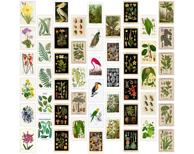 50PCS Botanical Wall Collage Kit Aesthetic Pictures for Room Cottagecore Decor Nature Lover Wall Art Gifts Plant Wall Art Print (4x6)