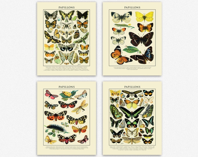 Butterfly Prints Set of 4 Vintage Nature Posters Perfect for Bathroom Wall Art Bathroom Art Set of Posters