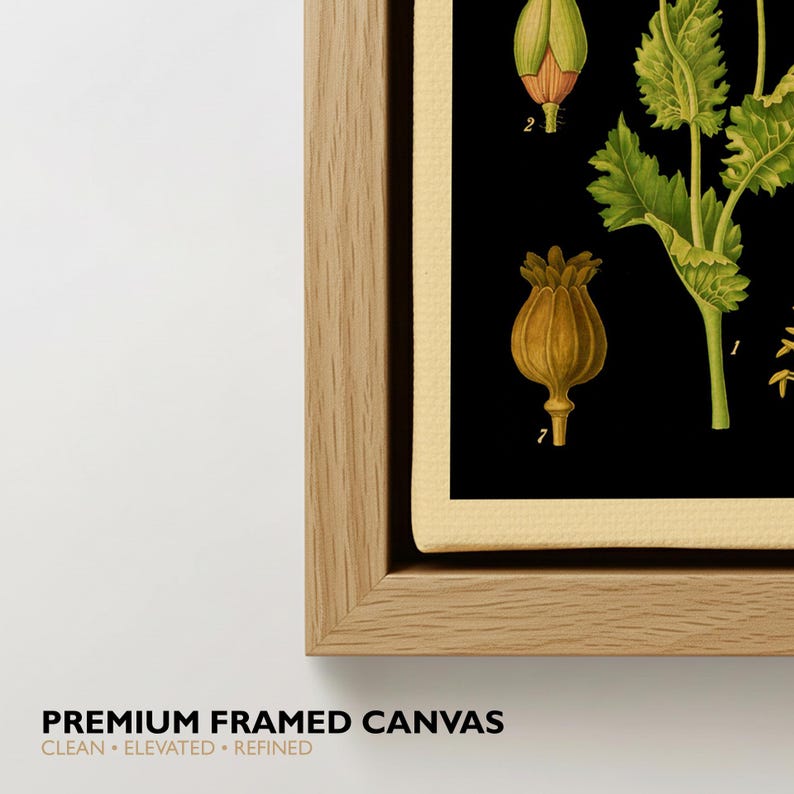 May include: A framed canvas print featuring a botanical illustration of green plant stems and golden-brown seed pods against a solid black background. The artwork is encased in a light-toned wooden frame with a clean, simple profile and a visible grain.