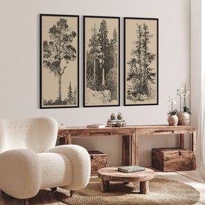 pencil drawing art print  flower botanical line drawing print sketches simple fine line poster art