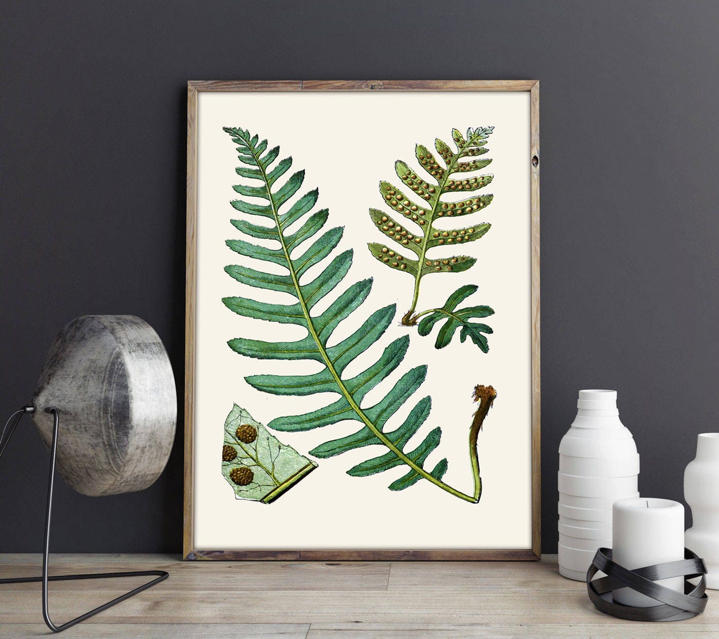 Fern Print Set of Fern Botanical Prints 4 Fern Posters Botanical Wall