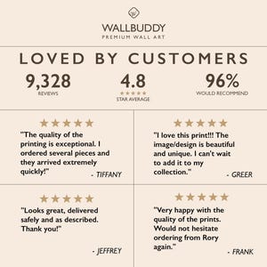 May include: A beige informational graphic titled WALLBUDDY PREMIUM WALL ART. It displays customer statistics: 9,328 reviews, a 4.8 star average, and 96% recommendation rate. Four customer testimonials with five-star ratings are included.