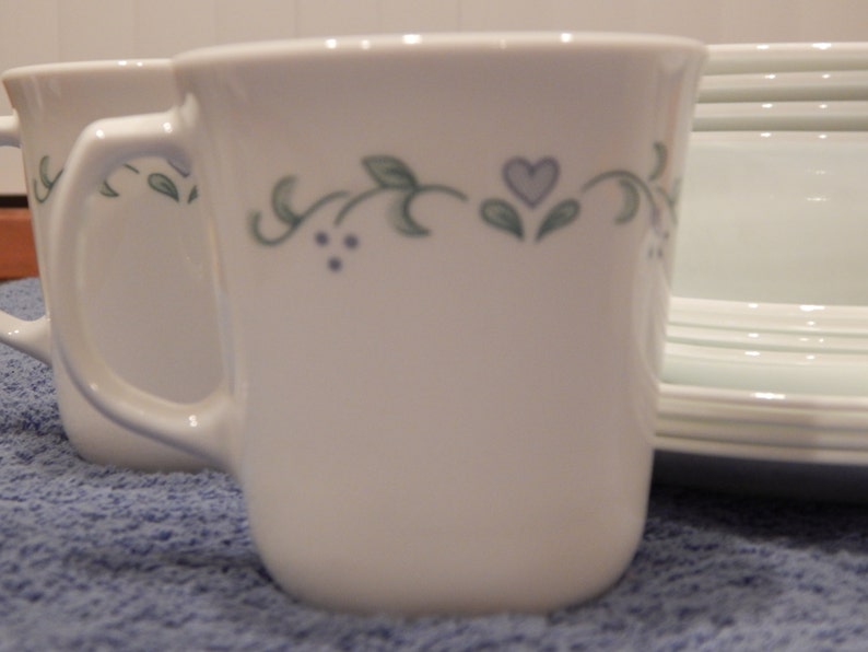 16 Pieces Corelle Country Cottage Dinnerware